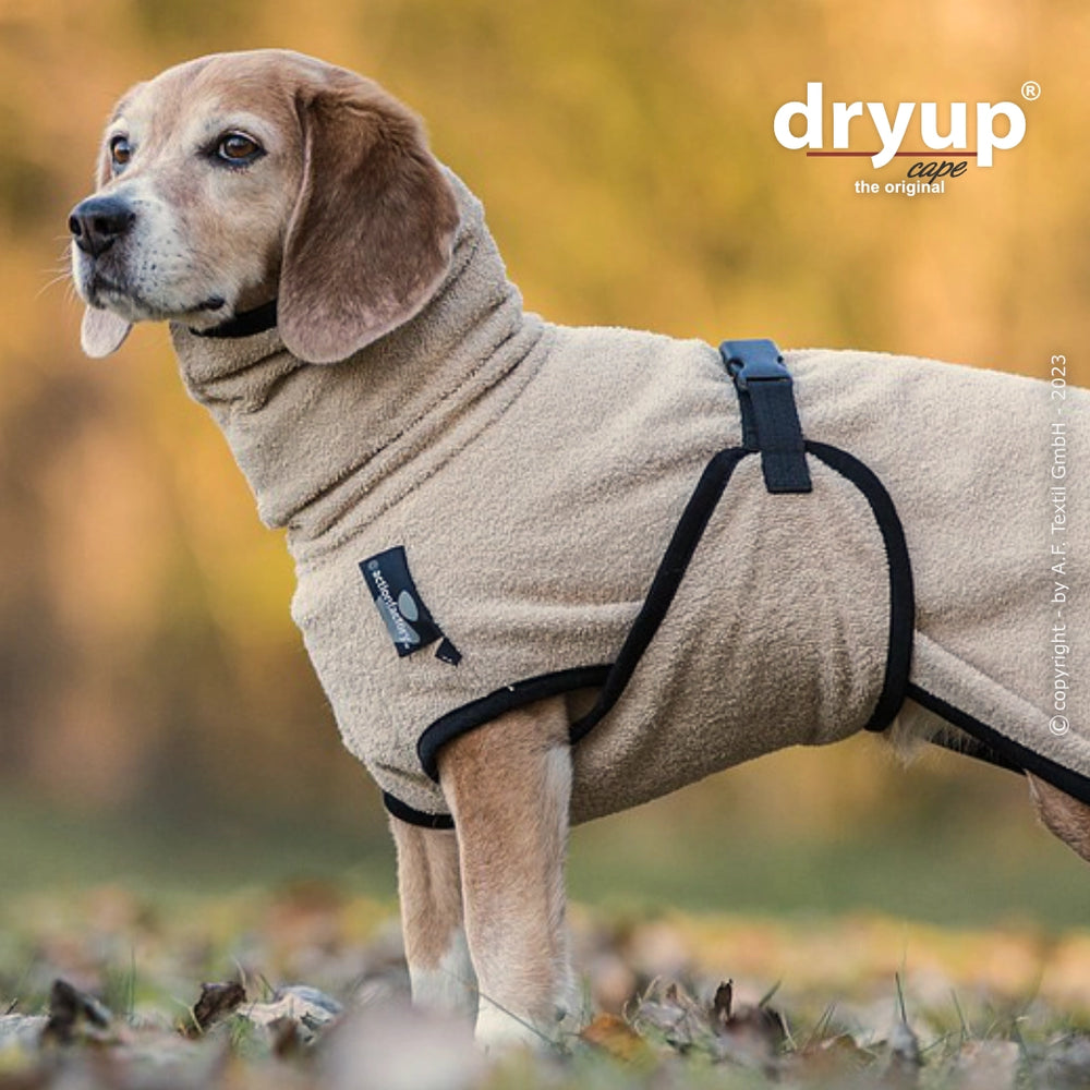 Beagle in beigem Fleece-Mantel von Dryup® cape mini in natürlicher Umgebung, ideal nach dem Baden.