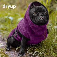 Schwarze französische Bulldogge im lila Mikrofaser-Handtuch mit Kapuze, umgeben von Gras in natürlicher Umgebung.