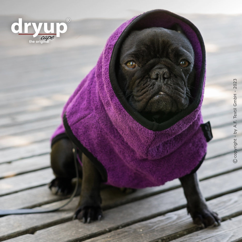 Kleiner schwarzer Hund im lila Handtuch-Cape auf Holzfußboden, ideal für nach dem Baden.