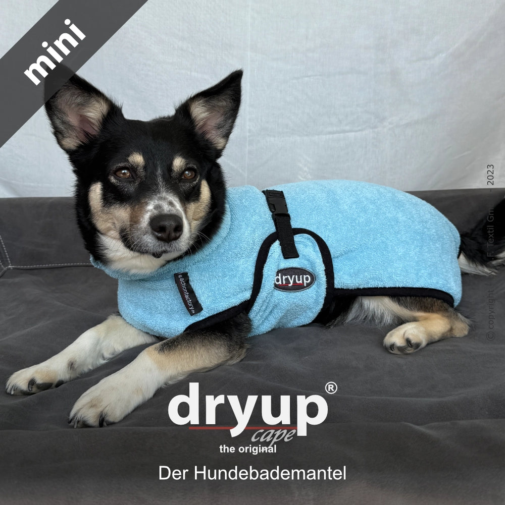 Dryup® cape mini - Der original Hundebademantel – lightblue