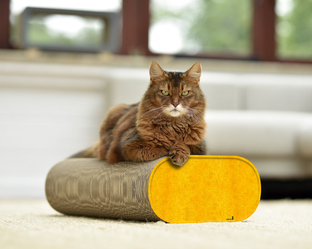 dunkelgelb (004e) - Bild 1