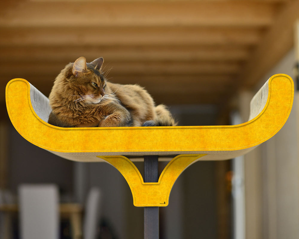 dunkelgelb (004e) - Bild 1