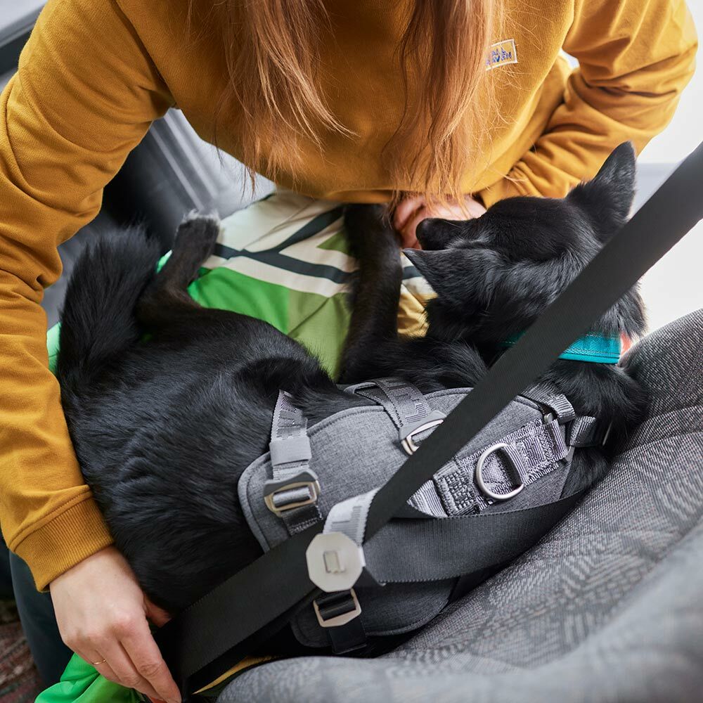 Autogeschirr Travel Harness ECO – zusätzliche Produktansicht 5
