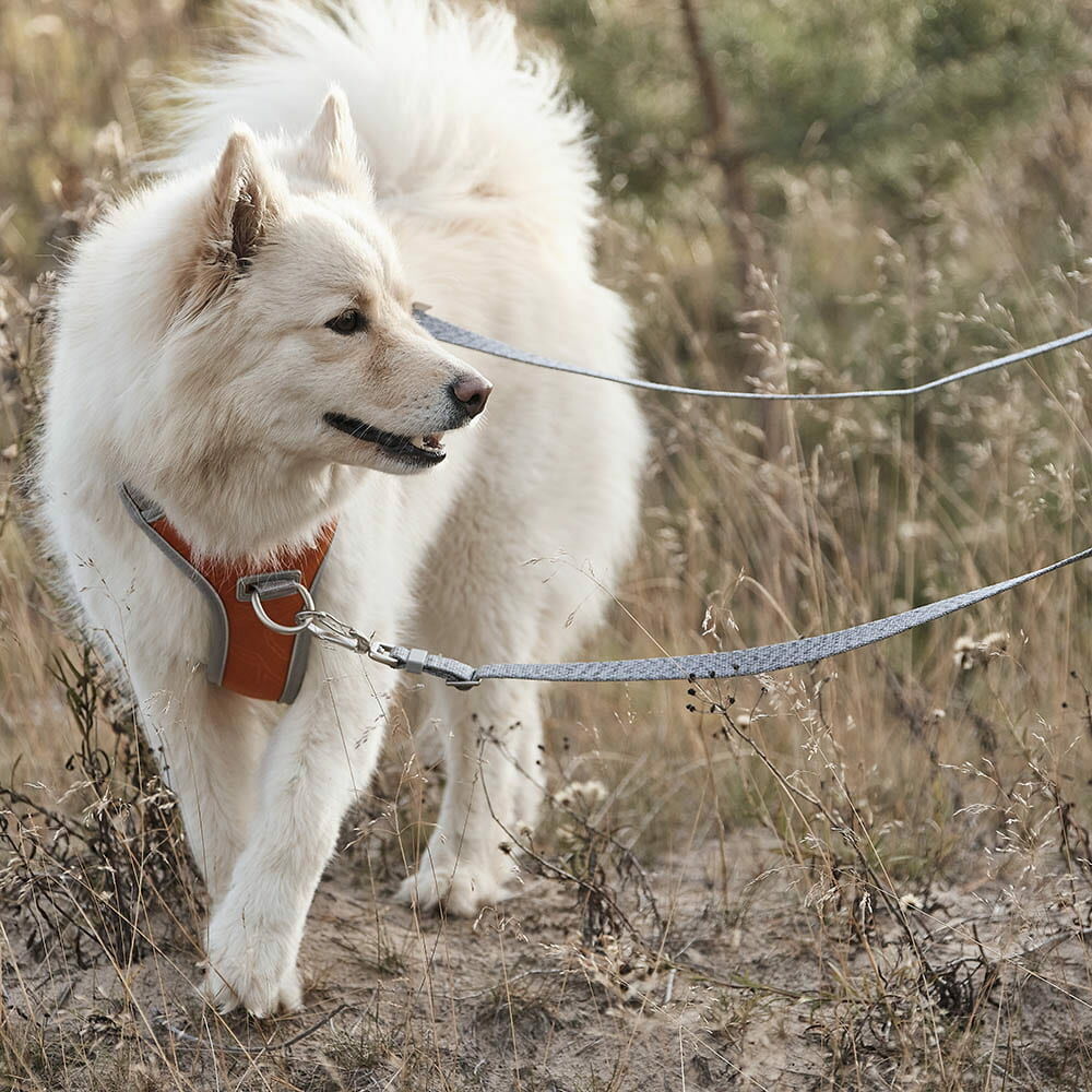 Hundegeschirr Venture No-Pull Harness – zusätzliche Produktansicht 3