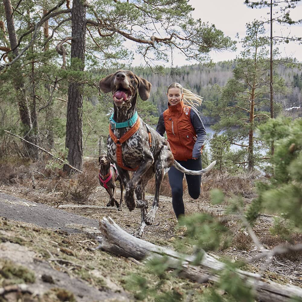 Hundegeschirr Casual Y-Harness ECO – zusätzliche Produktansicht 5