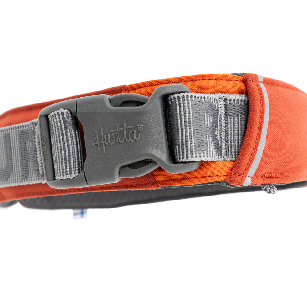Hundehalsband Rover – zusätzliche Produktansicht 4