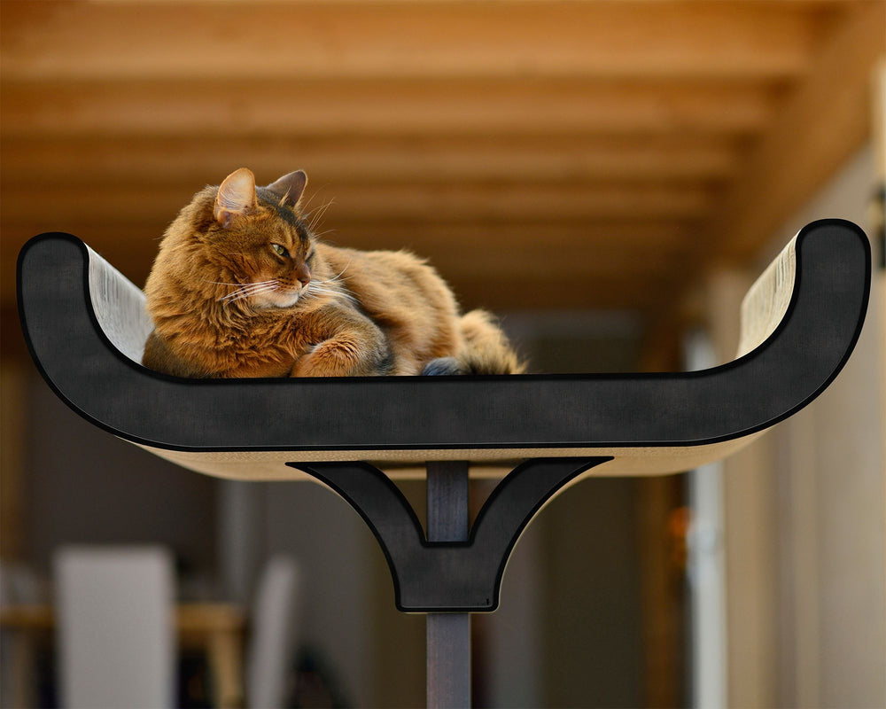 Entspannte Katze auf modernem, hölzernem Kratzbaum mit geschwungener Form und stabilem Standfuß.