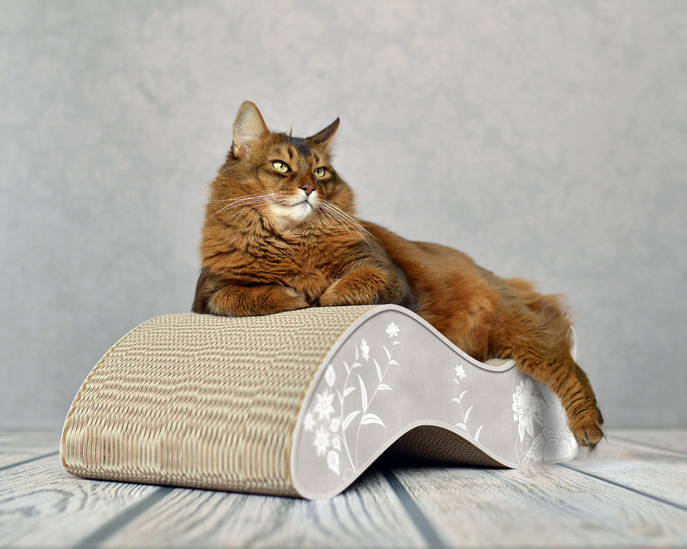 grau, weiße Blumen (019) - Bild 1