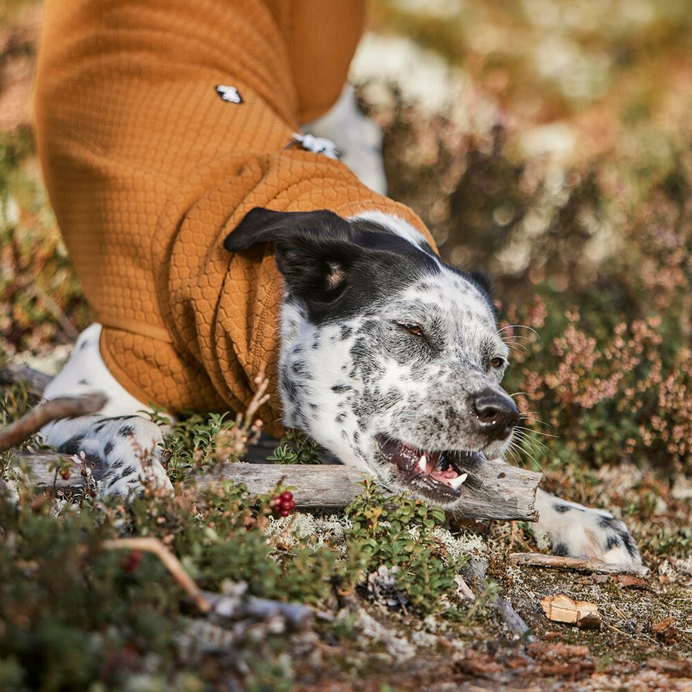 Wärmende Hundejacke Warming Midlayer ECO – zusätzliche Produktansicht 9
