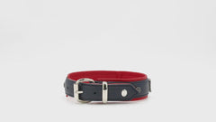 Blau-rotes Hundehalsband mit silberner Schnalle und roter, gepolsterter Innenseite aus Leder.