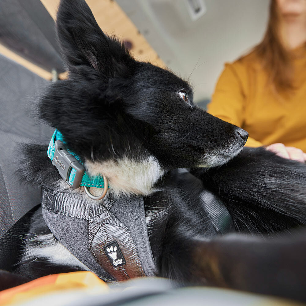 Autogeschirr Travel Harness ECO – zusätzliche Produktansicht 8