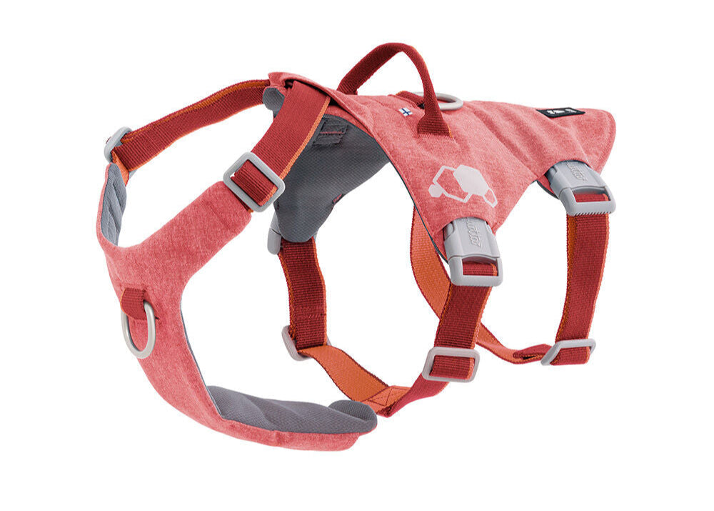 Hundegeschirr Safeguard Harness ECO – zusätzliche Produktansicht 2