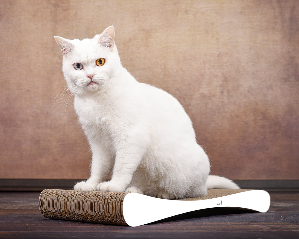 weiß,  gestrichen (000x) - Bild 2