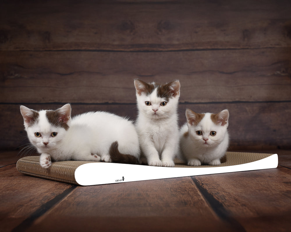 weiß,  gestrichen (000x) - Bild 2