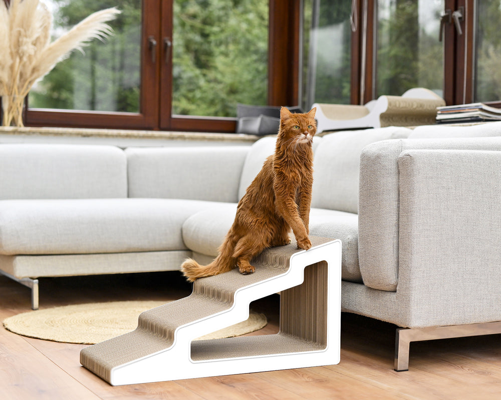 weiß mit Rand (000) - Bild 1