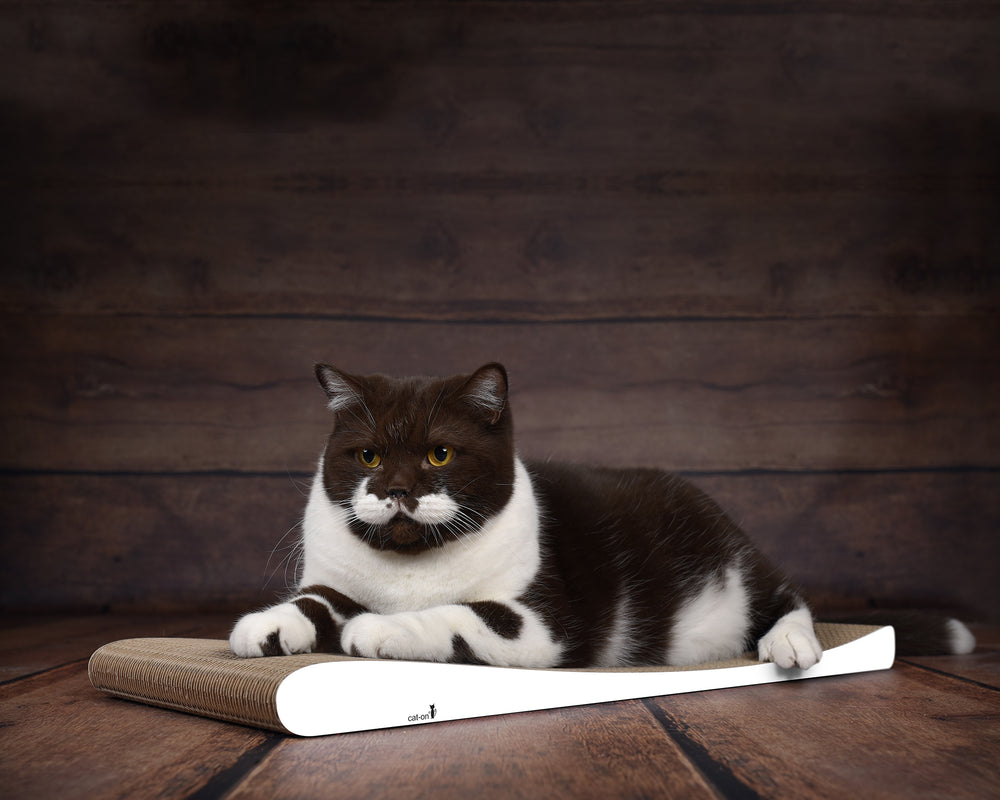 weiß,  gestrichen (000x) - Bild 1