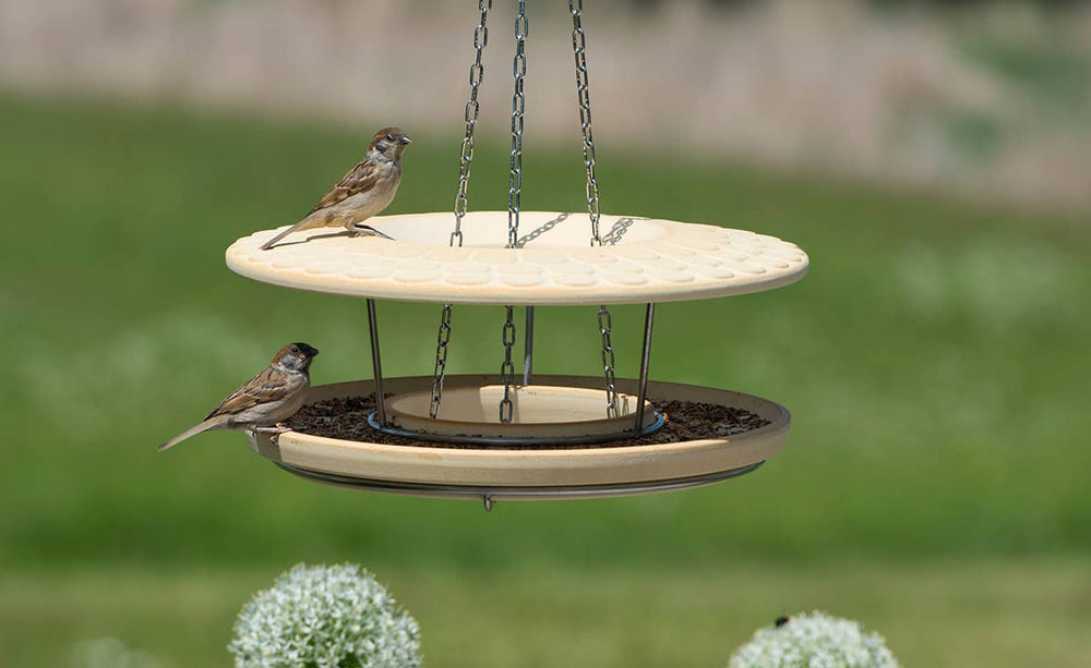 Hängender zweistufiger Vogelfutterspender mit Vögeln im grünen, verschwommenen Hintergrund.