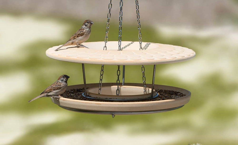 Zwei Vögel genießen das Futter in einem hängenden, zweistöckigen Futterhaus aus hellem Material.