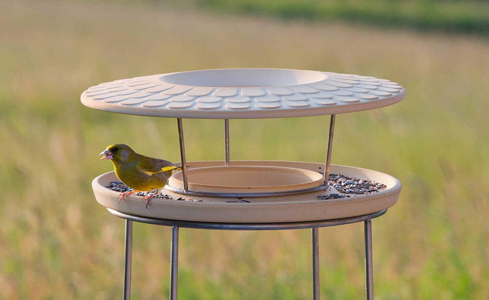 Grünfink auf dem CeraNatur Futterhaus mit modernem Design und zweigeteiltem Behälter für Vogelfutter.
