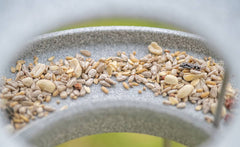 Graues Futterhaus Granicium mit Sonnenblumenkerne und Sämereien auf flacher Oberfläche, grüner unscharfer Hintergrund.