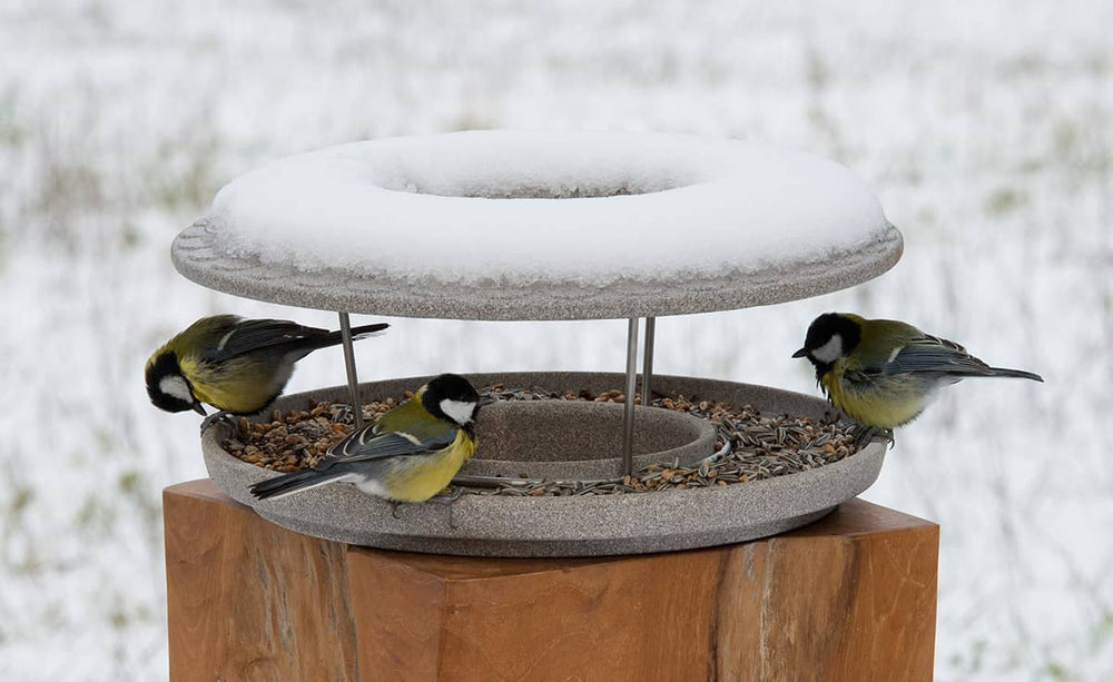 "Vogelfutterhaus Granicium aus grauem Material mit schneebedecktem Dach, montiert auf Holzpfosten."