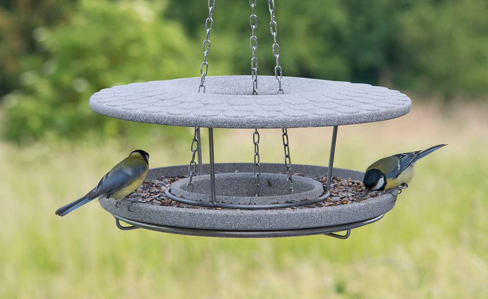 Rundes Futterhaus Granicium mit Hängung, Vogelfutter und zwei Meisen auf der schattierten Oberfläche.