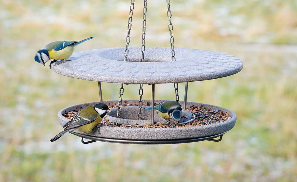 Vogelfutterspender Granicium mit Meisen auf der Futterstelle vor unscharfem Wiesenhintergrund.