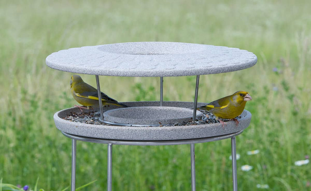 Vogelfutterhaus Granicium auf Metallständer mit zwei grünen Vögeln in einer grünen Umgebung.