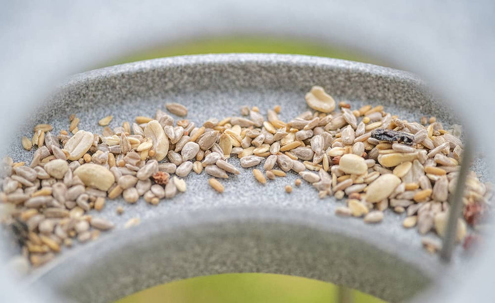 Graues Futterhaus Granicium mit Ständer, gefüllt mit Sonnenblumenkerne und verschiedenen Samen für Vögel.