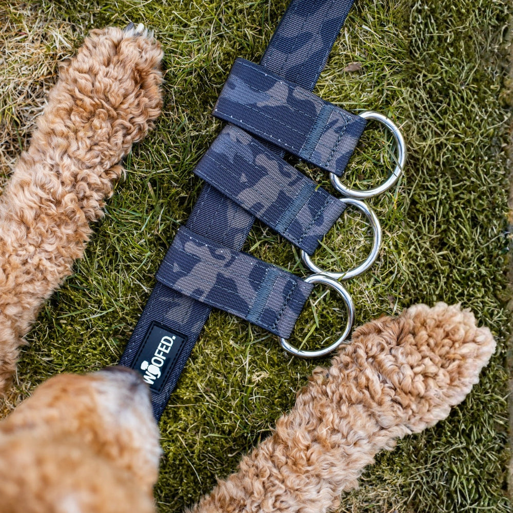 Verstellbare Gassigürtel in Camouflage mit silbernen Ringen, ideal für aktive Hunde.