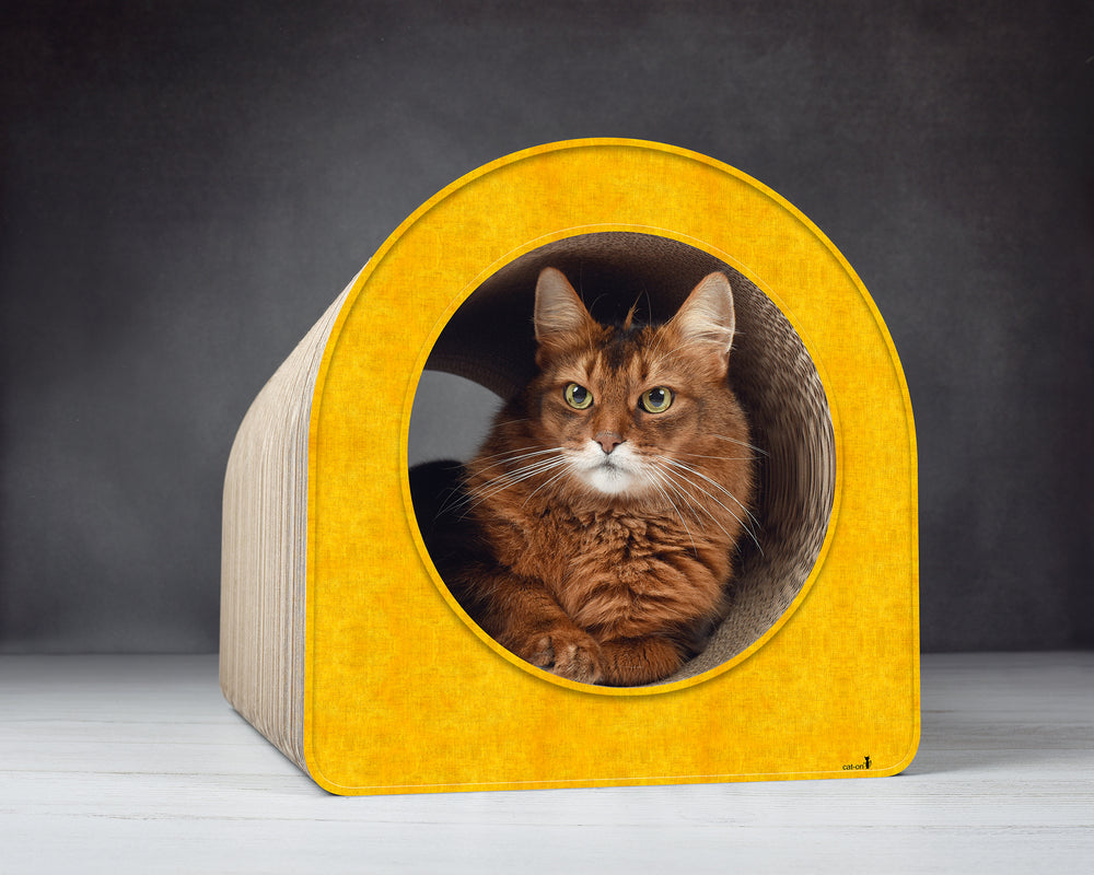 dunkelgelb (004e) - Bild 3