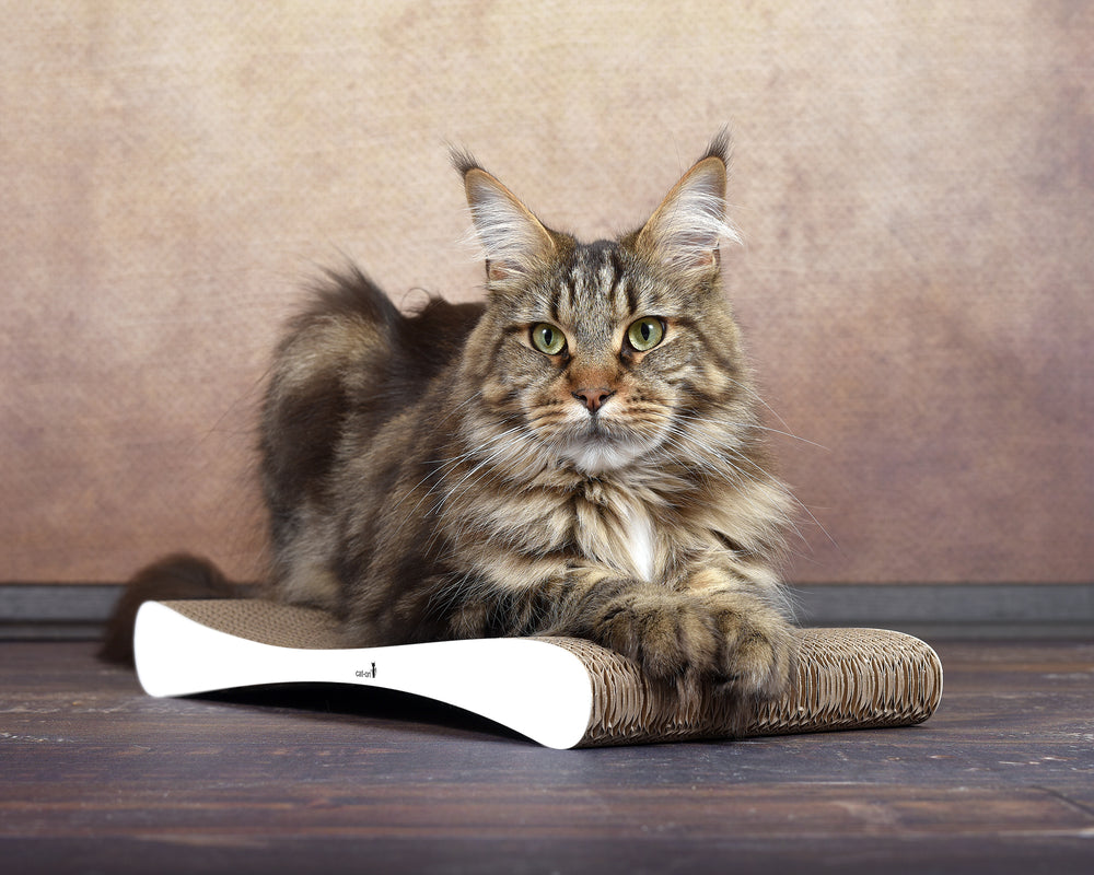 weiß,  gestrichen (000x) - Bild 3