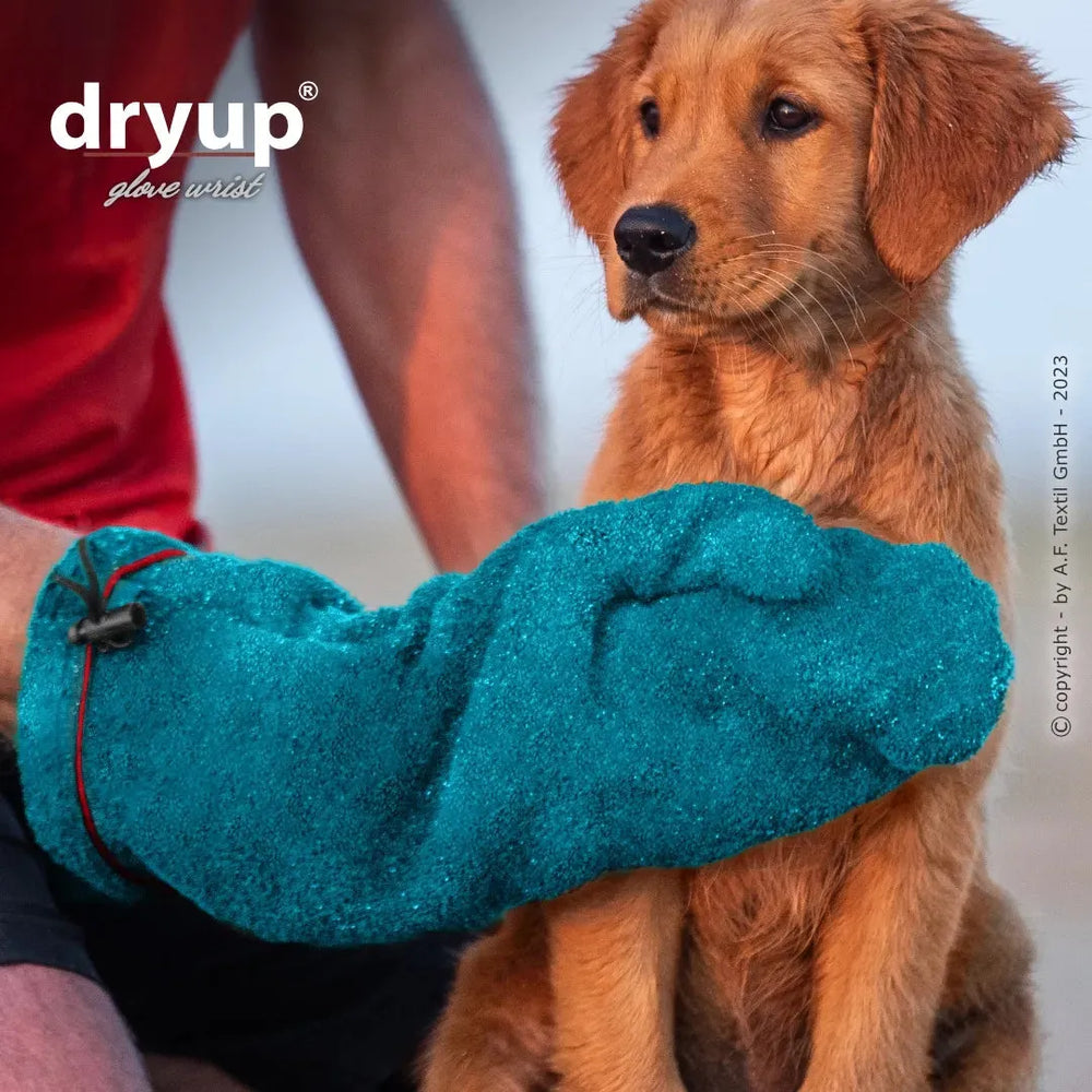 Hund sitzt neben Person mit blauen Trocknungshandschuh Dryup®, der eine strukturierte Oberfläche hat.