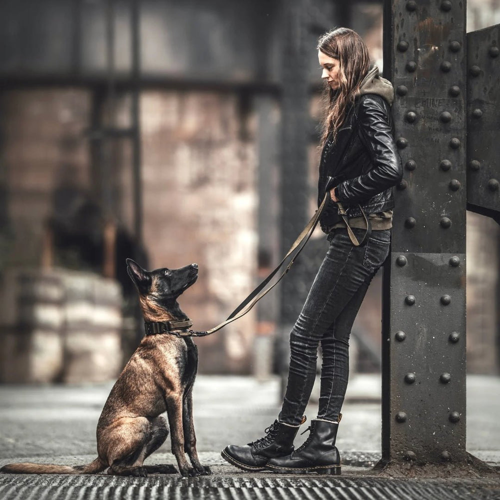 Frau in urbaner Umgebung mit Hund, trägt schwarze Lederjacke und grüne Kapuzenjacke, Nylon Classic Führleine in der Hand.