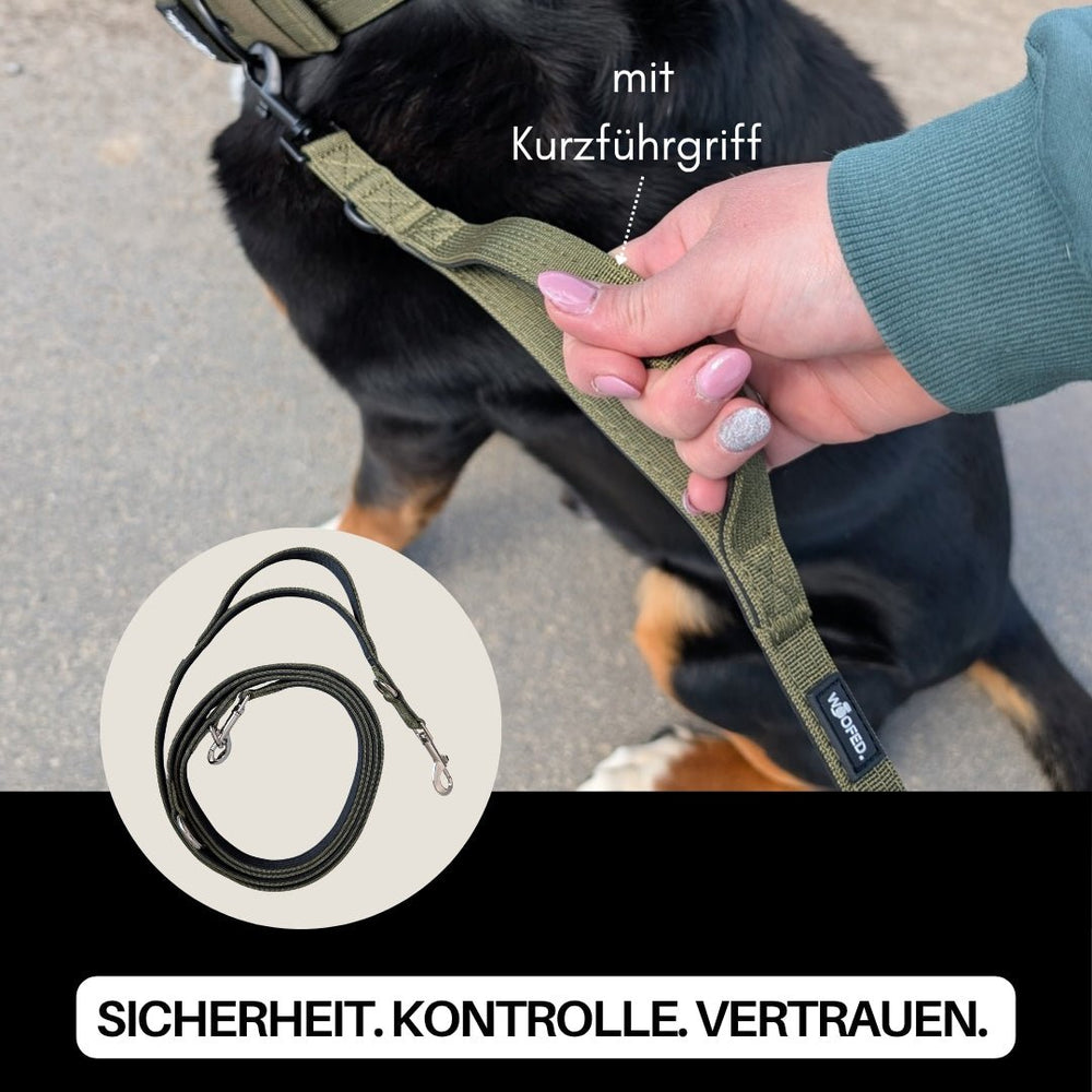 Person hält grüner Nylon Classic Führleine mit Kurzführgriff und Hund, betont Sicherheit, Kontrolle und Vertrauen.