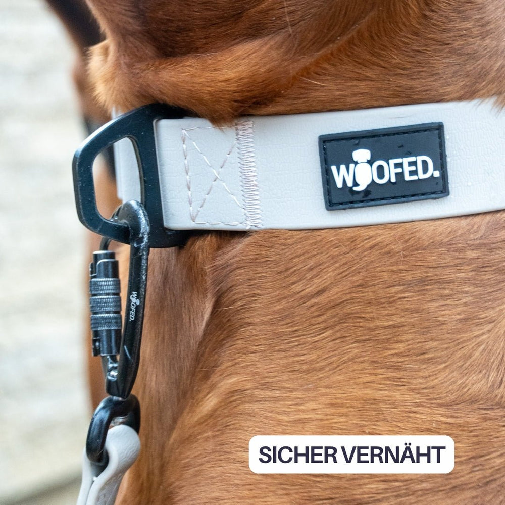 Halsband WOOFLEX® Tactical verstellbar in Grau mit WOOFED.-Logo und Karabinerhaken für Hunde.