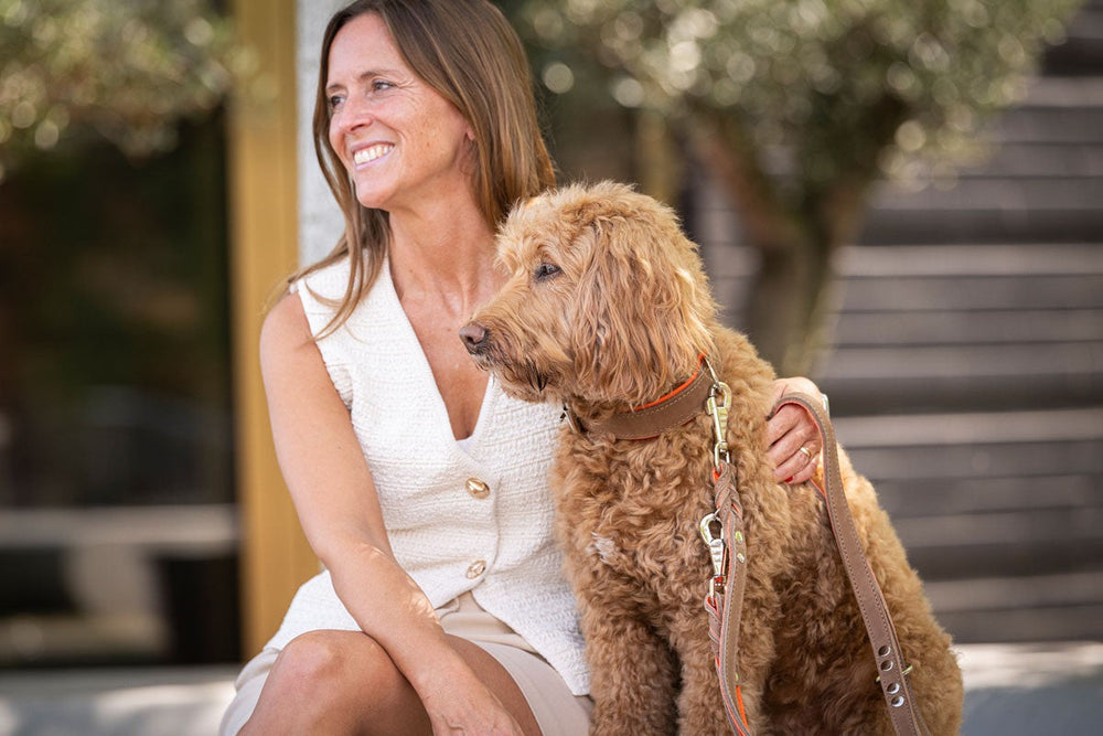 Frau mit langen, braunen Haaren neben braunem Hund mit lockigem Fell und Halsband Klassik Premium Mokka.