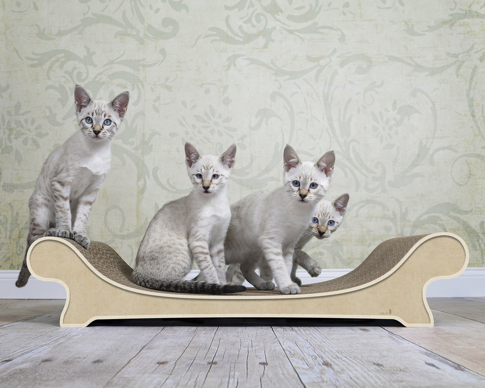 hellbeige (005f) - Bild 1