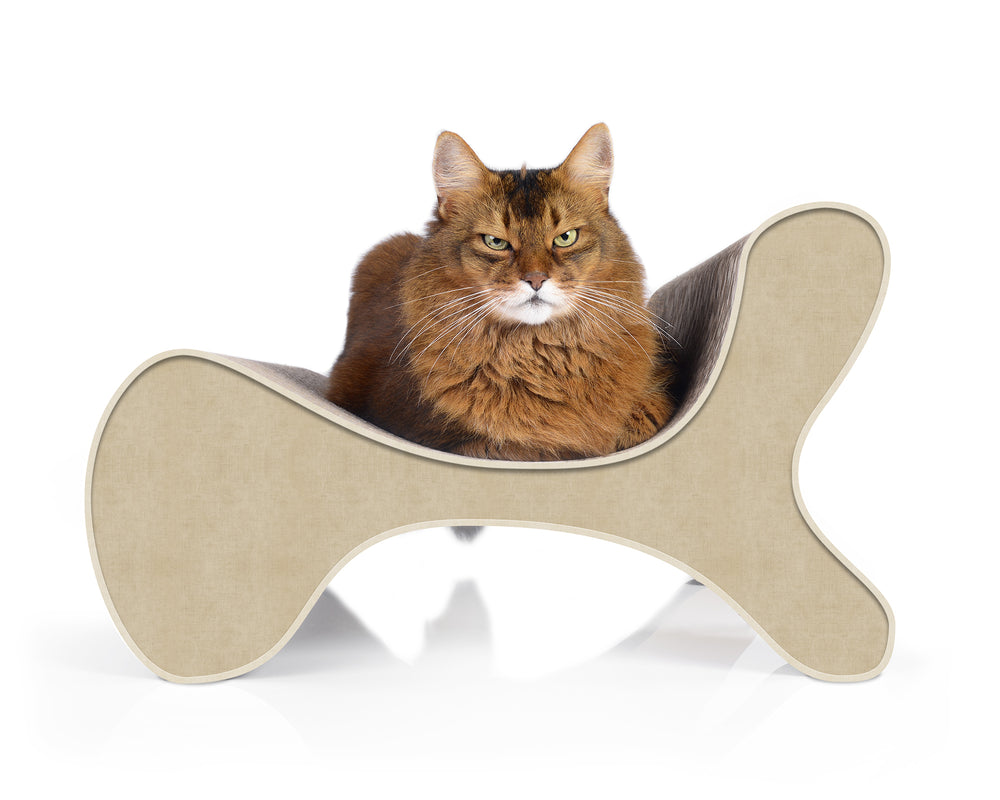 hellbeige (005f) - Bild 2