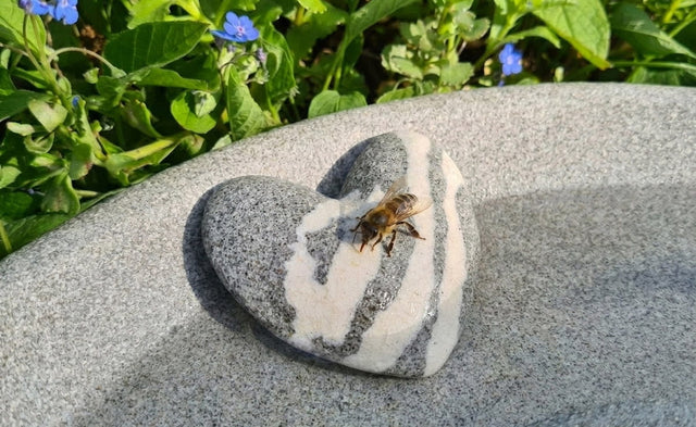 Heart Scent and Drinking Stone