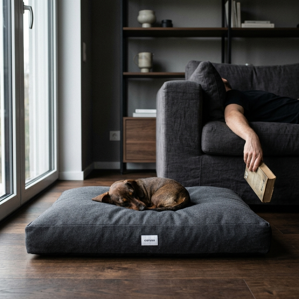 Gemütlicher Wohnraum mit schlafendem Hund auf grauem Hundebett, entspannte Person liest auf dem Sofa.