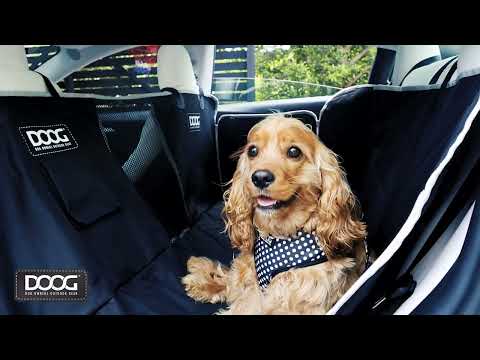 Hund mit braunem, lockigem Fell im Auto, sitzt auf schwarzer Schutzhülle. Trägt gestreiftes Geschirr.