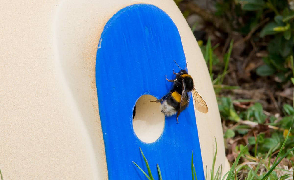 Beiger Nistkasten für Hummeln mit blauem Eingangsloch, Hummel sitzt am Eingang, umgeben von grünem Gras.