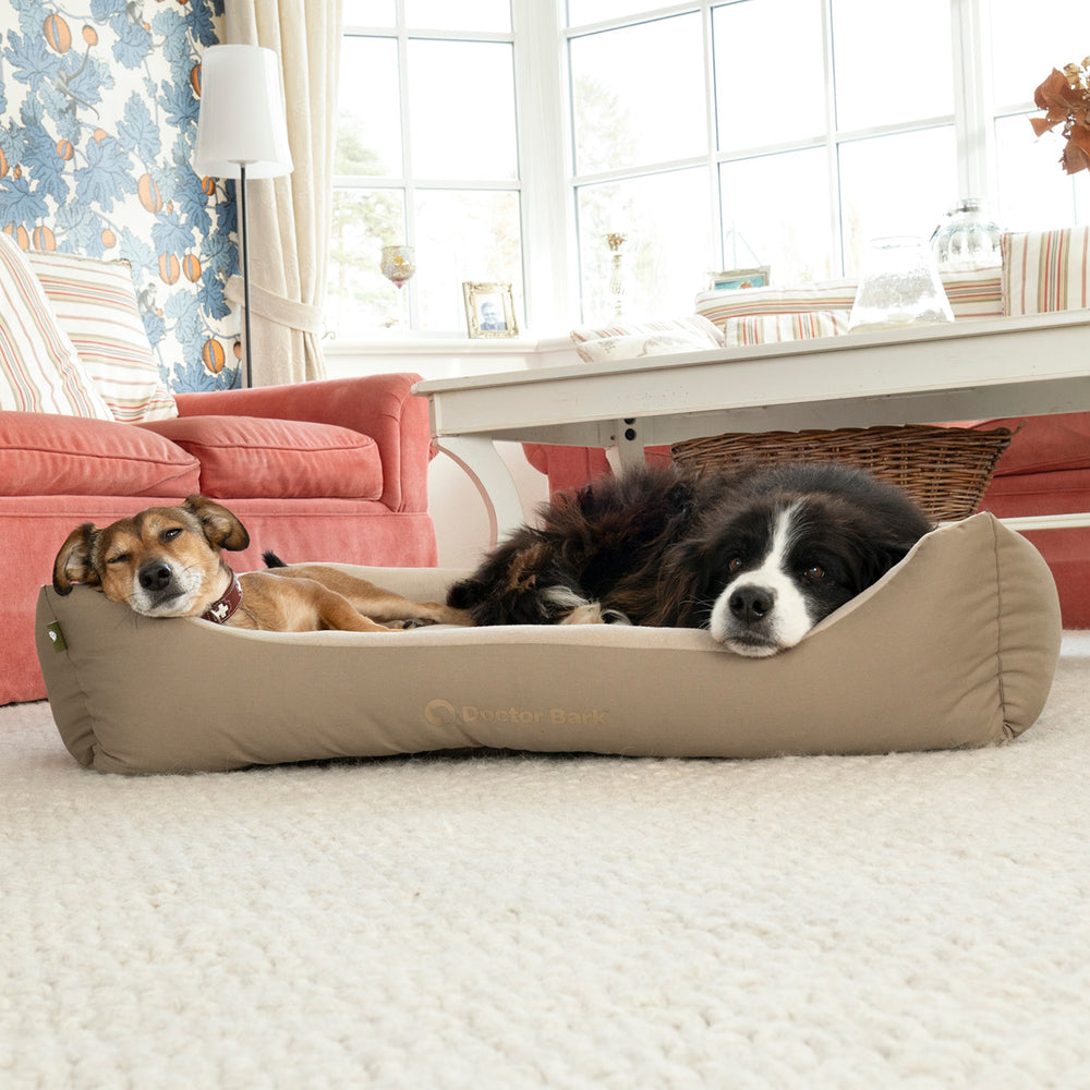 Zwei Hunde entspannen auf einem Doctor Bark Hundebett in einem gemütlichen Wohnzimmer mit rotem Sofa.
