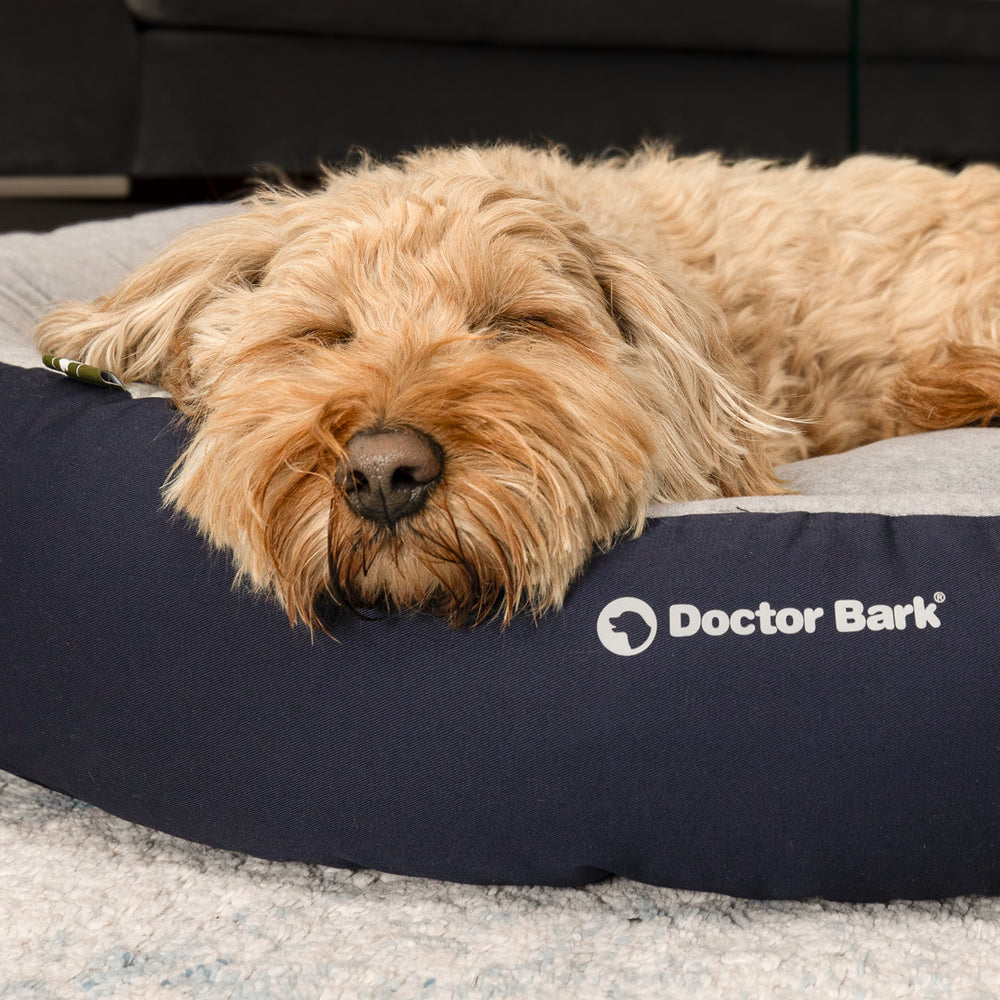 Schlafender Hund auf runden Doctor Bark Hundebett in Grau und Blau, mit lockigem, hellem Fell und entspannter Pose.