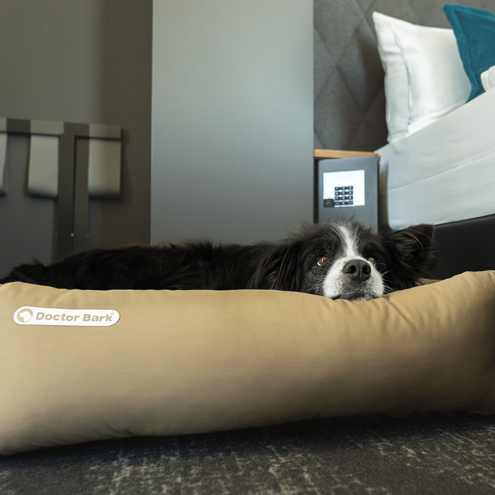 Ruhender Hund auf beigem Doctor Bark Hundebett in modernem Zimmer mit grauer Wand. Ideal für Komfort und Entspannung.