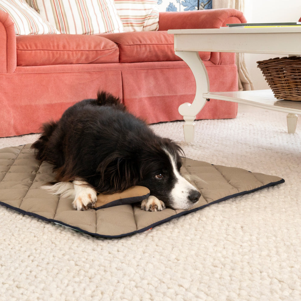 Schwarz-weißer Hund liegt auf Doctor Bark Hundedecke neben einem Kauerstick, Hintergrund mit rotem Sofa und Tisch.