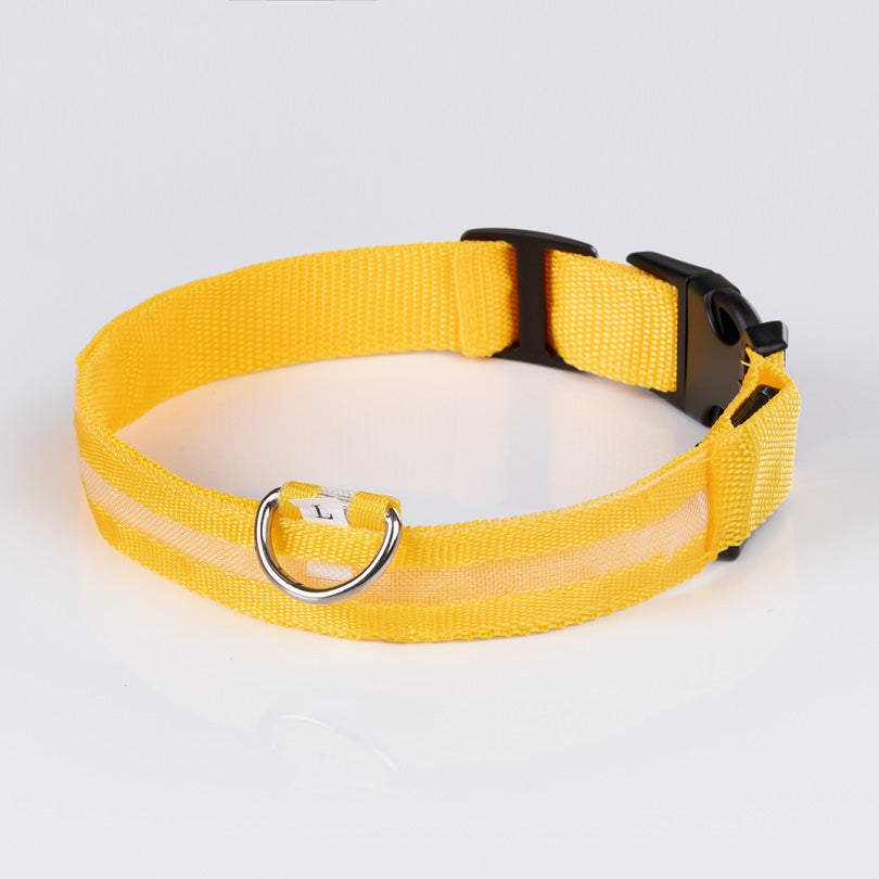 Gelbes Hundehalsband aus Nylon mit verstellbarer Schnalle und Metallring für die Leinenbefestigung. Robust und funktional.