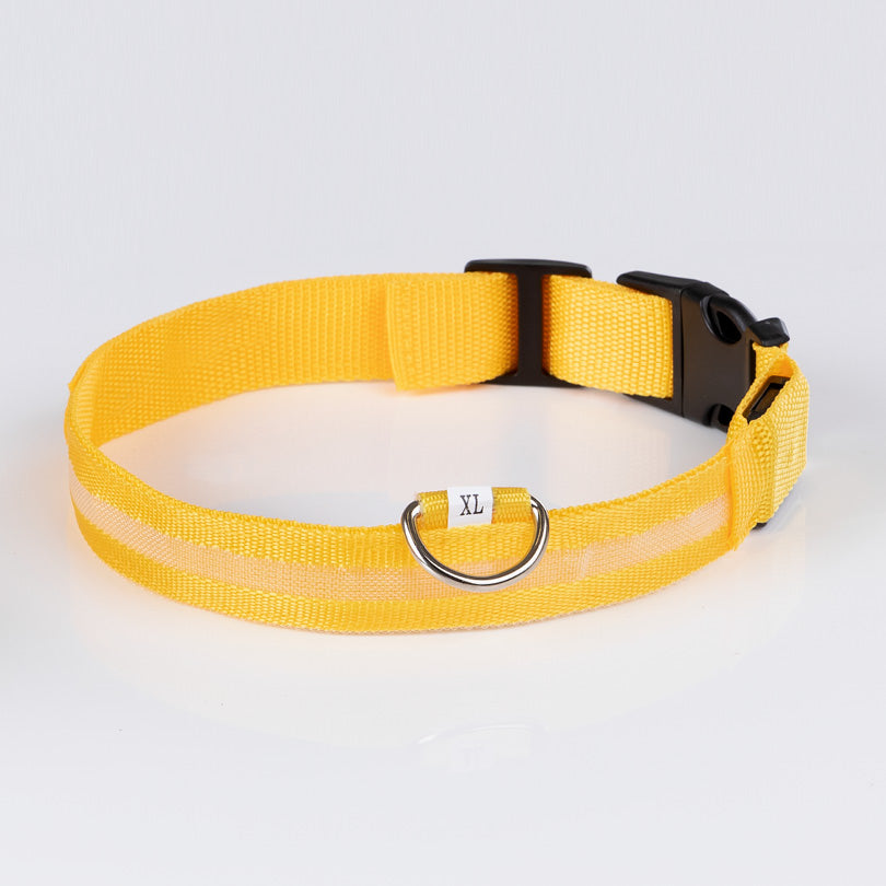 Gelbes Hundehalsband von Doctor Bark aus robustem Material mit stabiler Schnalle und reflektierendem Innenfutter.