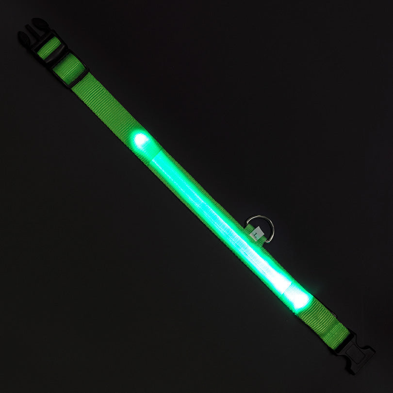 Leuchtendes grünes Doctor Bark Leuthalsband mit reflektierenden Elementen und LED-Lichtern für optimale Sichtbarkeit.